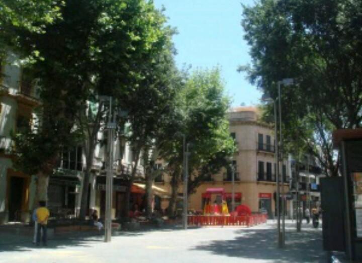 Apartment En El Corazon De *
